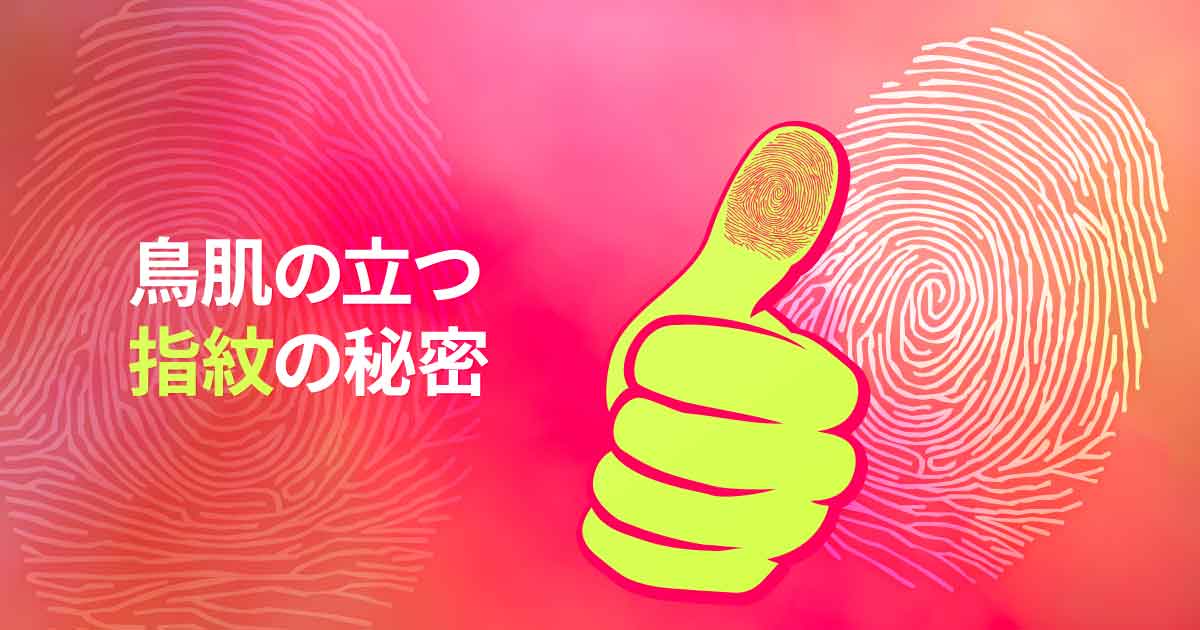 鳥肌の立つ指紋の秘密