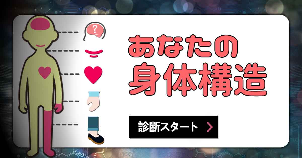 あなたの身体構造