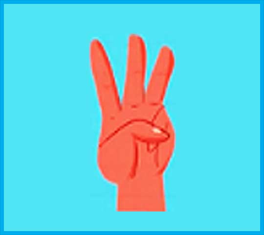 3