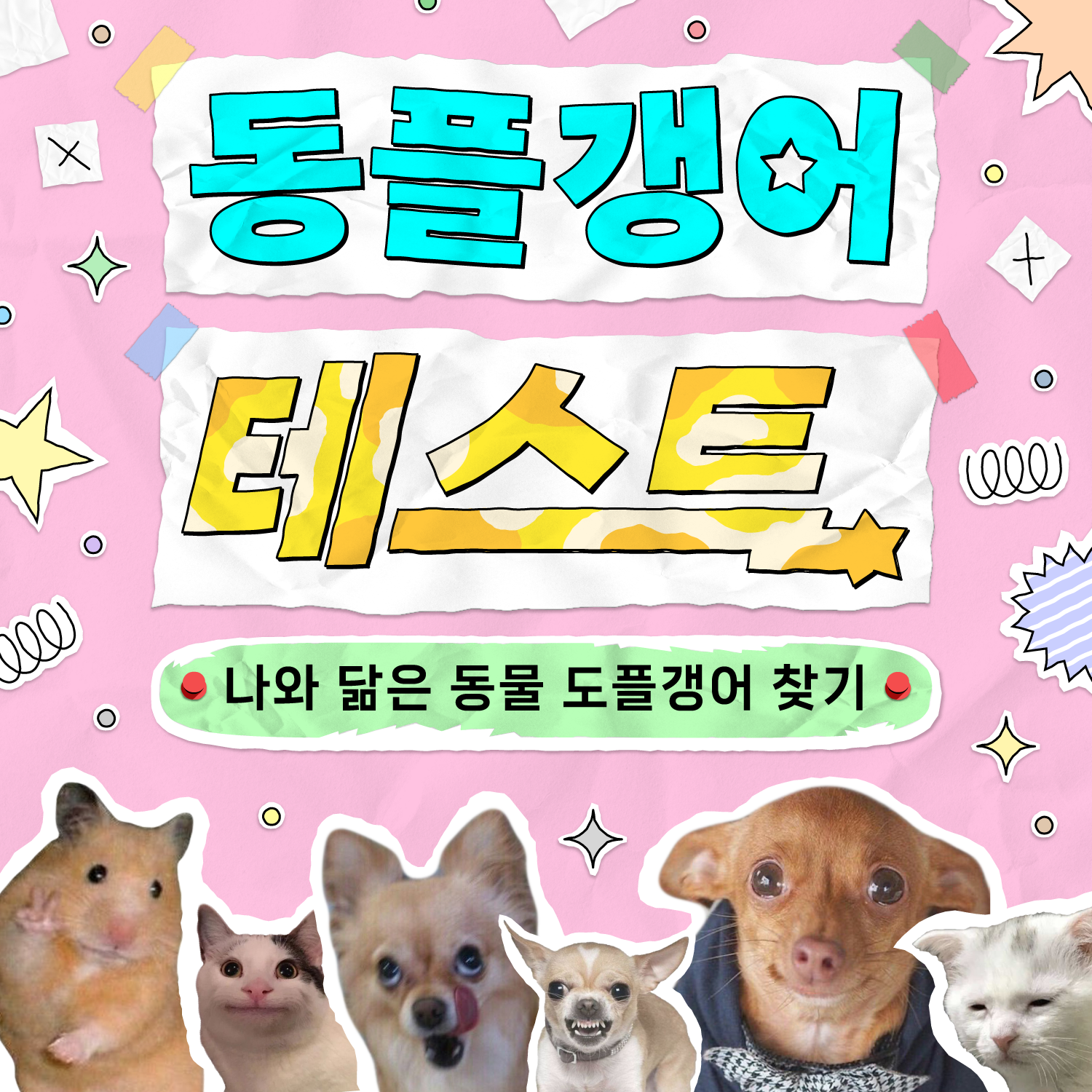 동플갱어 테스트
