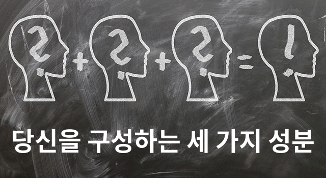당신을 구성하는 세 가지 성분