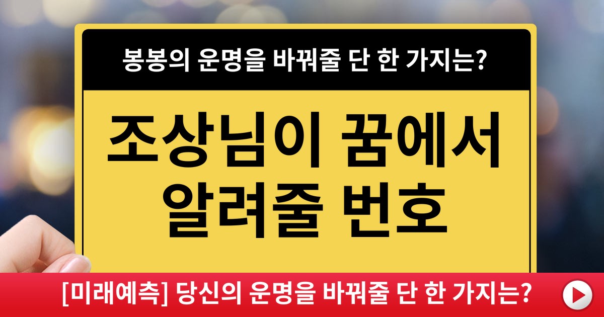 [미래예측] 당신의 운명을 바꿔줄 단 한 가지는?