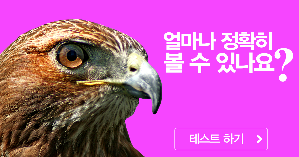 동체시력 테스트