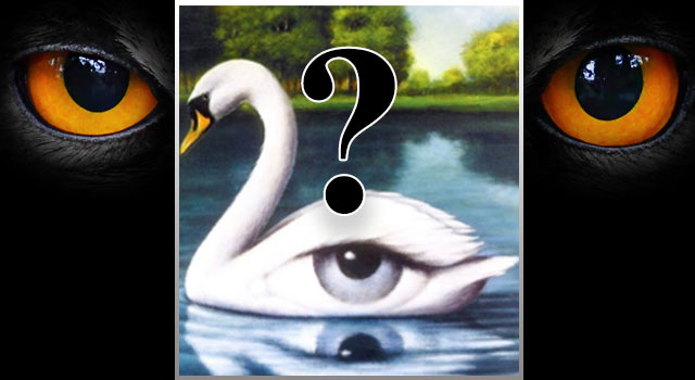 [초월 감각 진단] 당신은 몇 개의 '눈'이 보입니까?