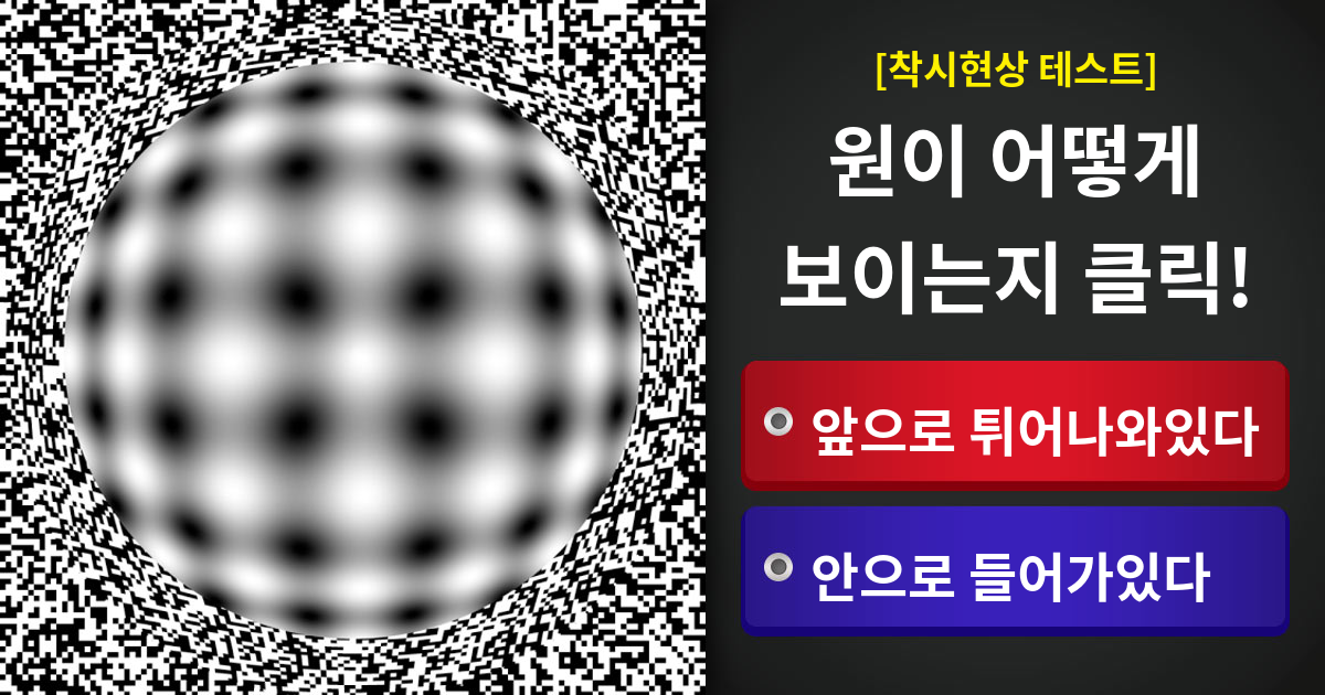 착시현상으로 알아보는 정확한 성격테스트!