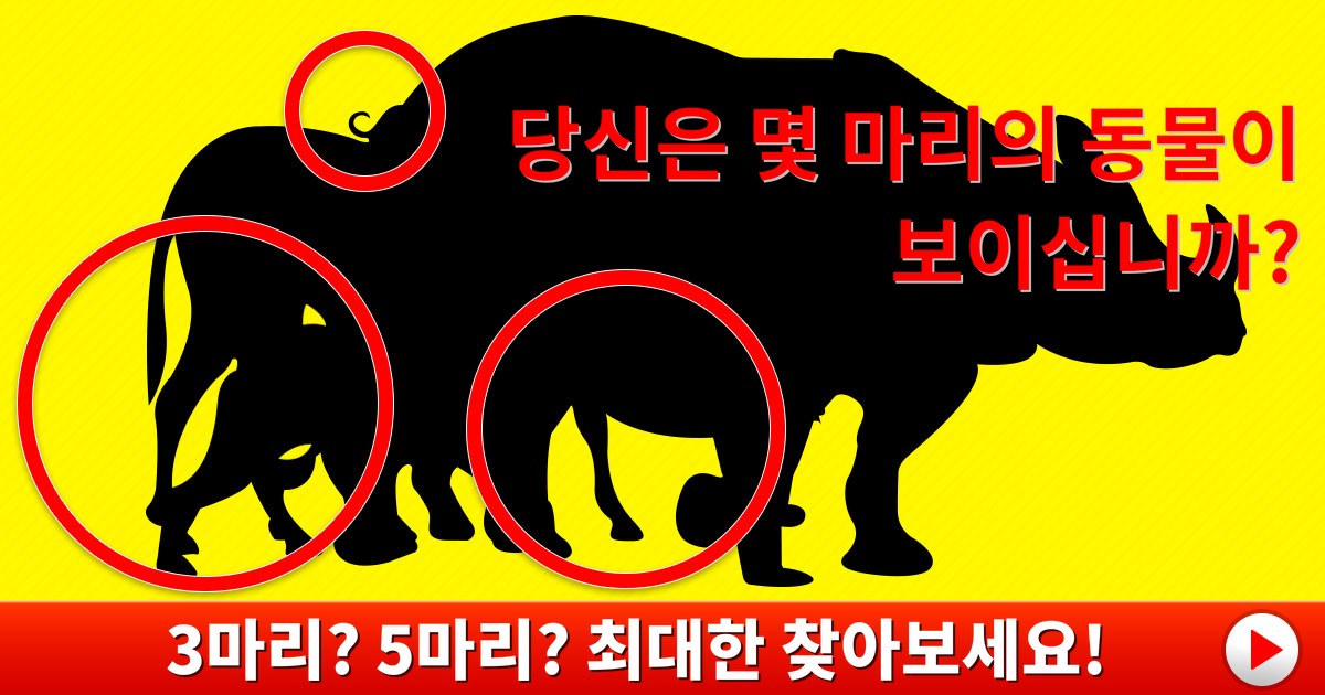 [적성진단] 당신은 몇 마리의 동물이 보이세요?