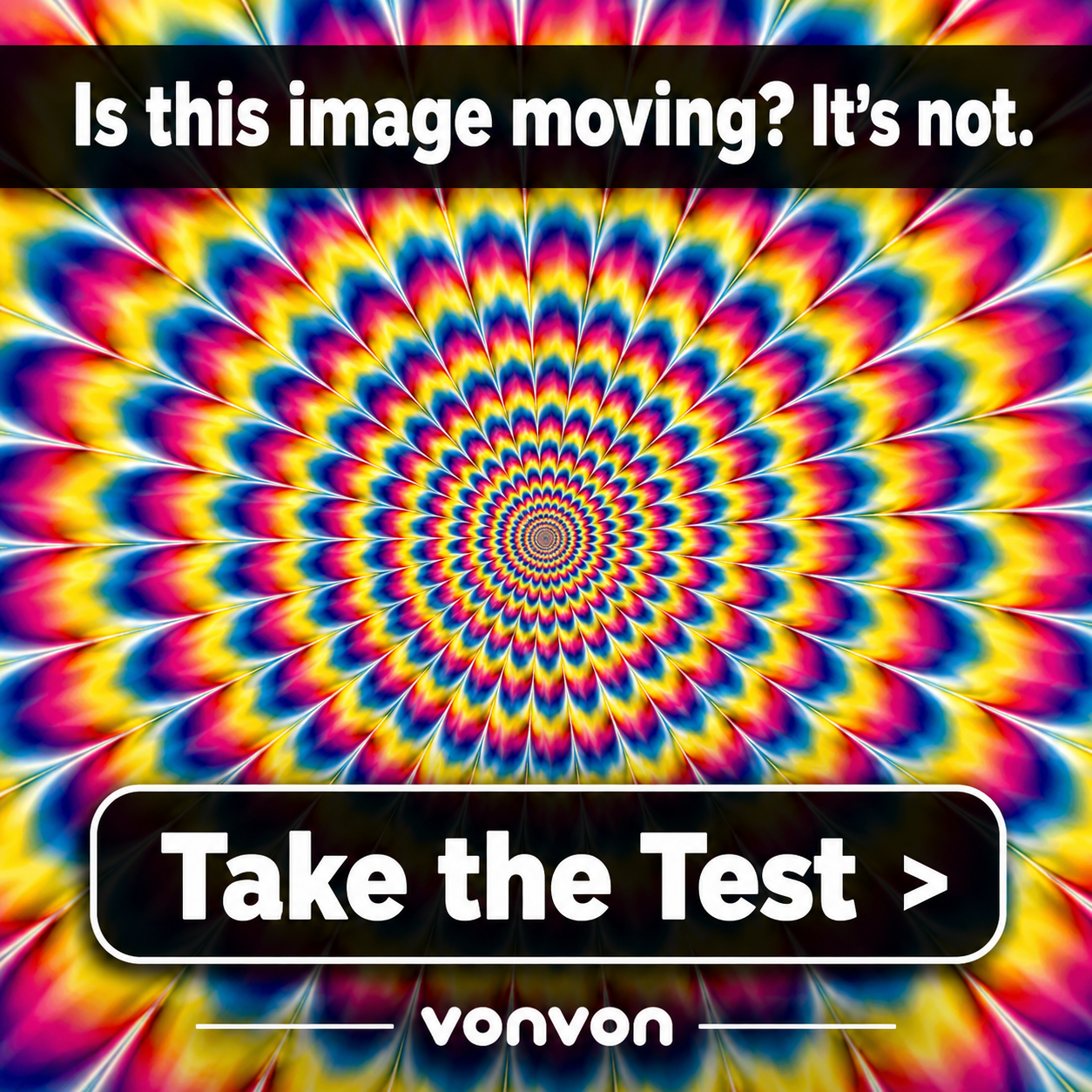 The Ultimate Optical Illusion Quiz